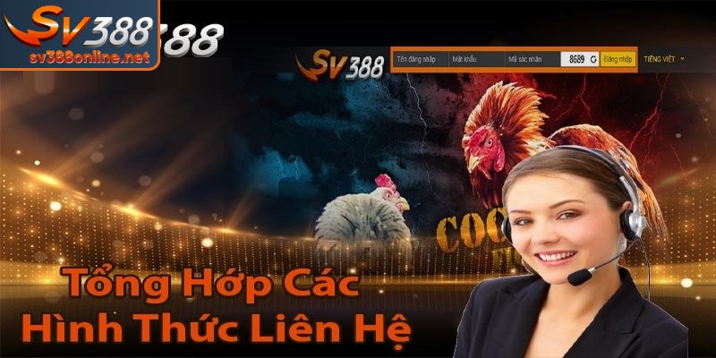 Những phương thức liên hệ 