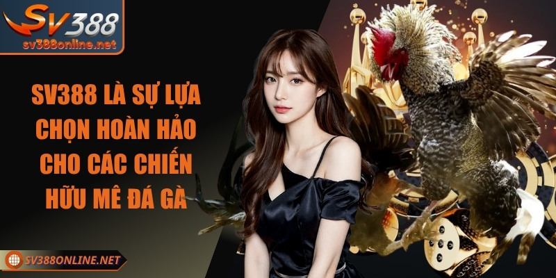 Sự lựa chọn hoàn hảo cho giây phút giải trí của chiến hữu