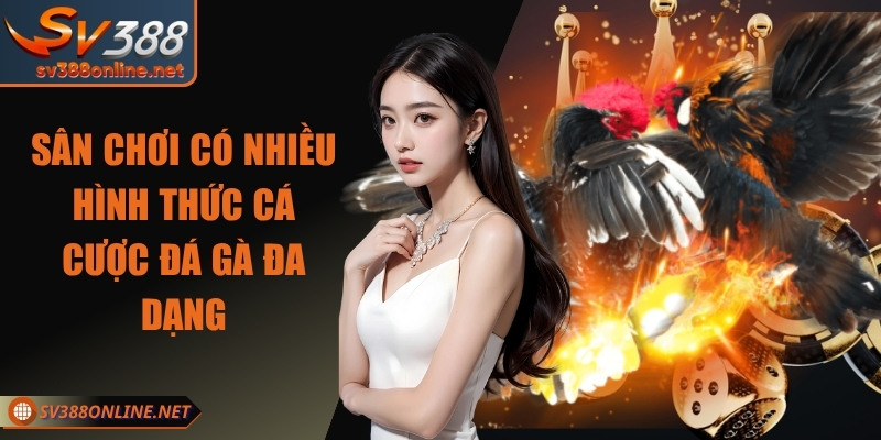 Điều gì giúp đá gà SV388 nổi bật